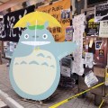 totoro 05