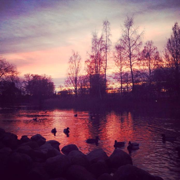 11025178_10153224433893738_8086541367173839016_n