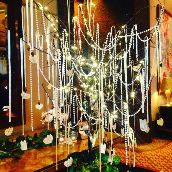 12096381_10153776865263738_1376377797664694525_n (1)