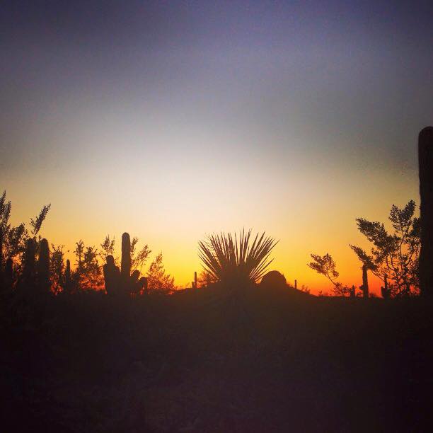 12188989_10153820944998738_2016336120159529876_n