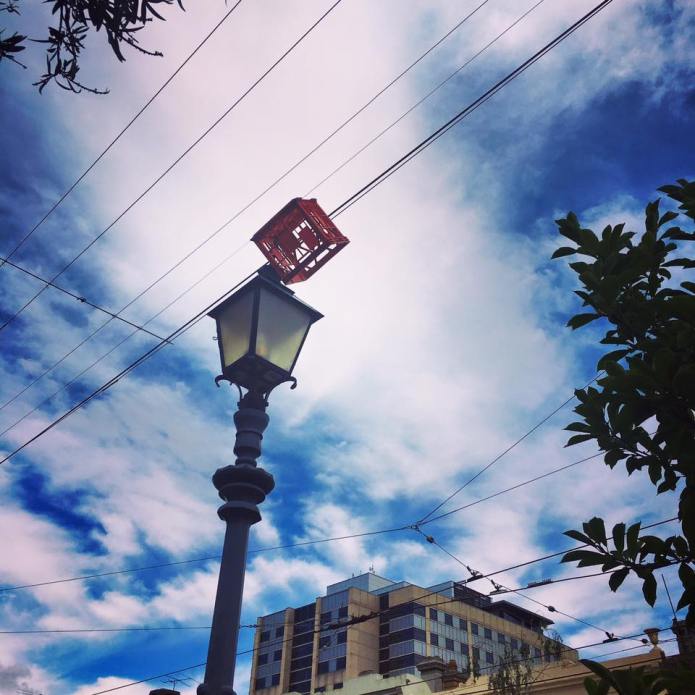 12308412_10153890570288738_532757713041624849_n